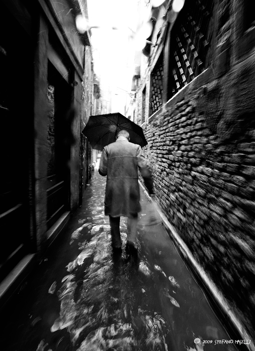 Copyright Stefano Maselli
